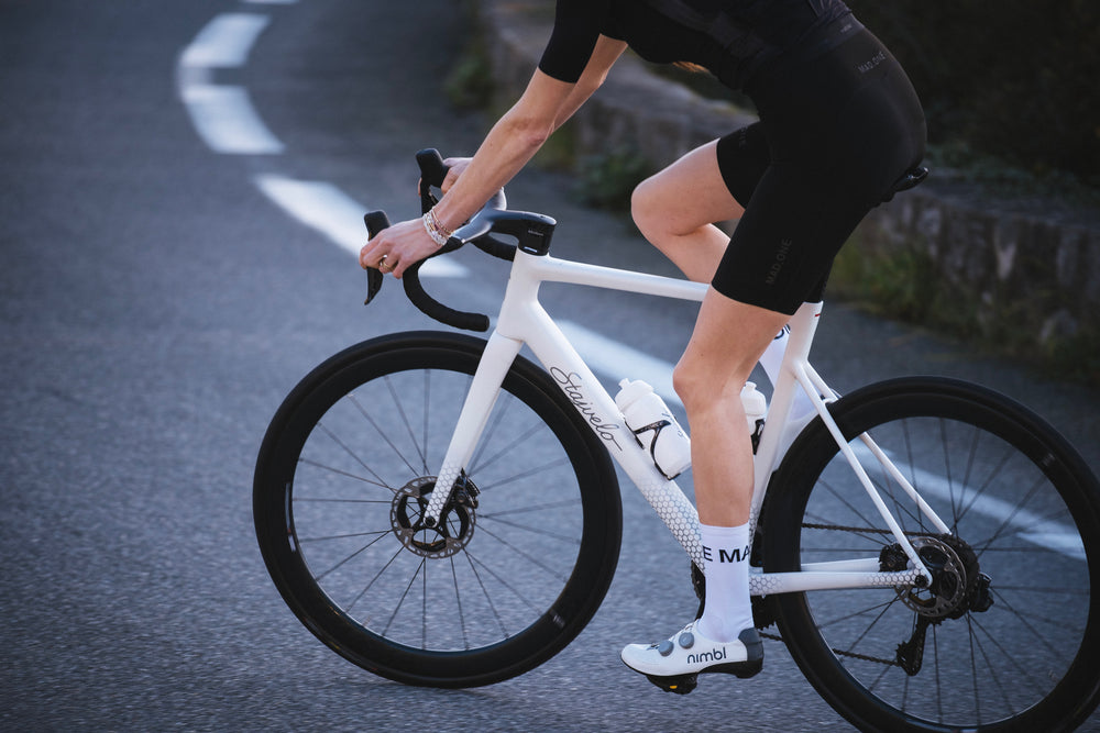 Stajvelo bicycle detail